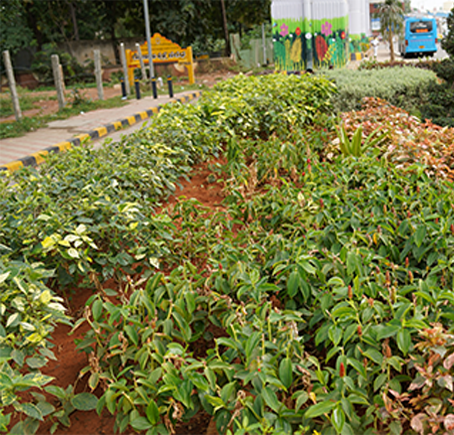 BMRCL Metro Beautification Project